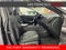 2025 Lexus NX 350h Luxury