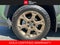 2025 Toyota RAV4 Hybrid Woodland Edition