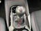 2026 Toyota GR Corolla Premium Plus MT